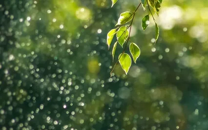 Anxiety Reduction - Grounding Music