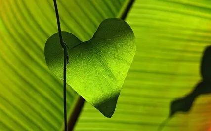Anxiety Reduction - Harmonic Melodies