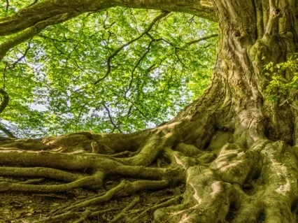 Anxiety Reduction: Heal Mind, Body And Soul