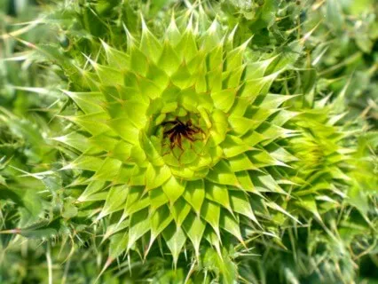 Anxiety Reduction - Healing & Removing Stress