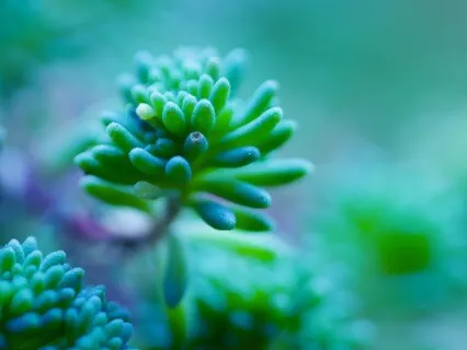 Anxiety Reduction - Healing Frequency Music