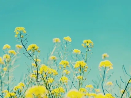 Anxiety Reduction - Healing Music To Balance Your Mind