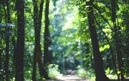 Anxiety Reduction - Healing Your Emotions