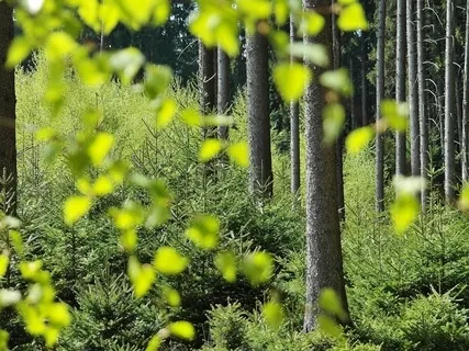 Anxiety Reduction - Healing Your Inner Child