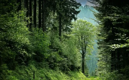 Anxiety Reduction - Igniting Your Passion