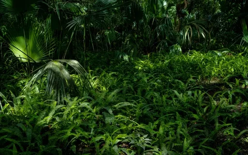 Anxiety Reduction - Immerse In Peace