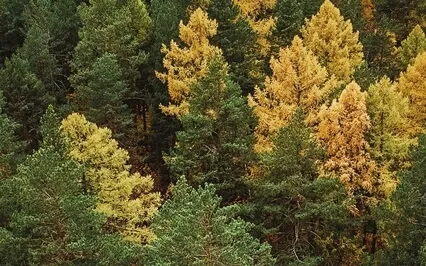 Anxiety Reduction - Increase Focus And Reduce Anxiety 