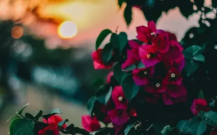 Anxiety Reduction - Instant Relief