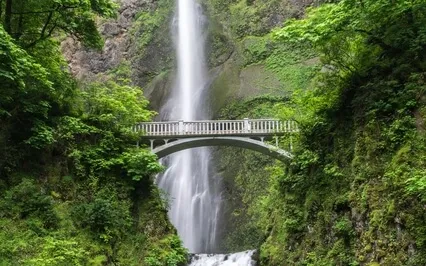 Anxiety Reduction - Instantly Reduce Anxiety