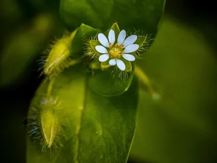 Anxiety Reduction - Laughing Your Worries Away