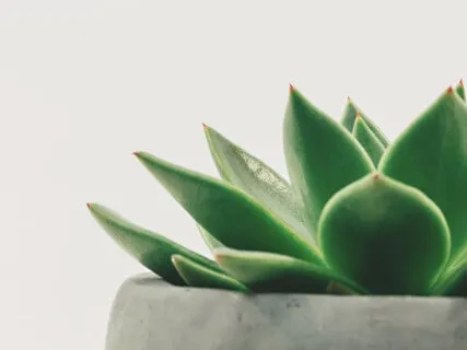 Anxiety Reduction - Let Go Anxiety