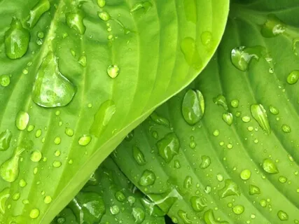 Anxiety Reduction - Let Go Of All Anxieties & Tensions