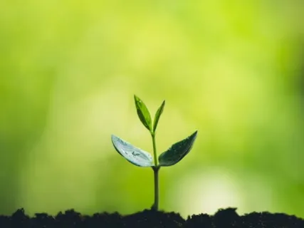 Anxiety Reduction - Let Go Of Blocks