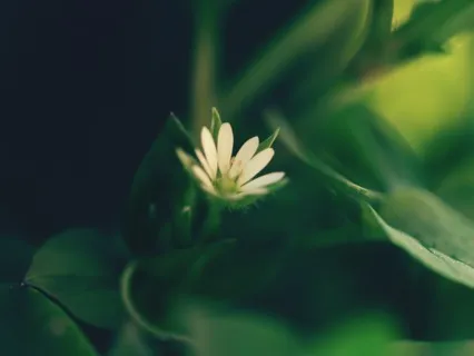 Anxiety Reduction - Let Go Of Worries
