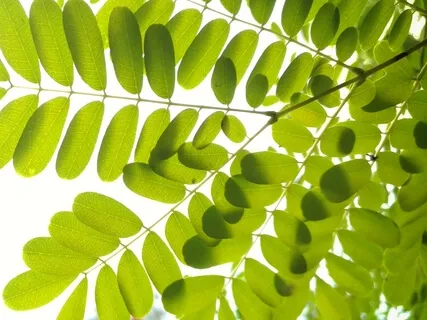 Anxiety Reduction - Let Go Of Your Worries