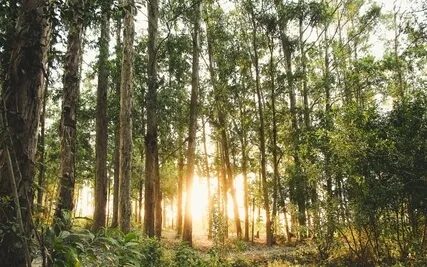 Anxiety Reduction - Managing Your Emotions