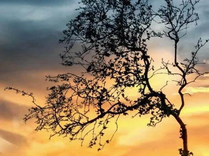 Anxiety Reduction - Meditation & Relaxation