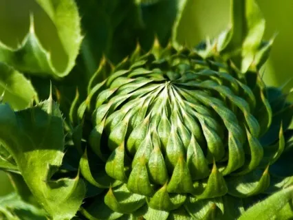 Anxiety Reduction - Meditation Music For Clarity