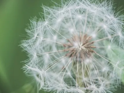 Anxiety Reduction - Meditation Music For Panic Attack