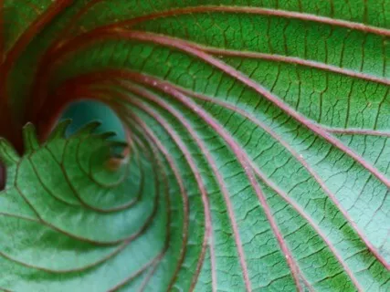 Anxiety Reduction - Meditation Music For Positive Energy