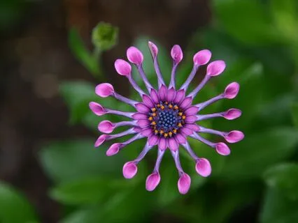 Anxiety Reduction - Meditative Moments