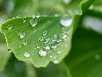 Anxiety Reduction - Minimizing Anxiety In The Workplace