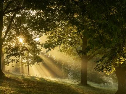 Anxiety Reduction - Miracle's Healing Touch