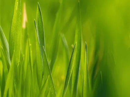 Anxiety Reduction - Move On From The Past