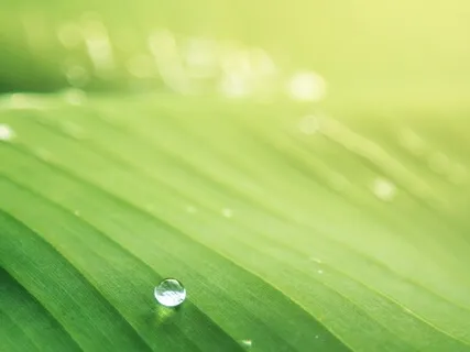 Anxiety Reduction - Music For Calming Over Active Mind