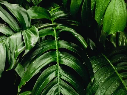 Anxiety Reduction - Music For Deep Healing