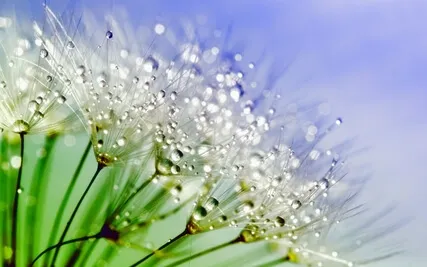Anxiety Reduction - Music for Inner Peace