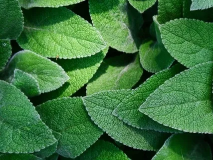 Anxiety Reduction - Music For Self Love