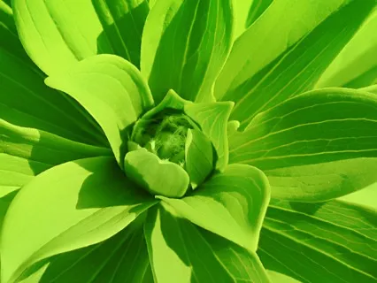 Anxiety Reduction - Music For Stress And Anxiety Relief