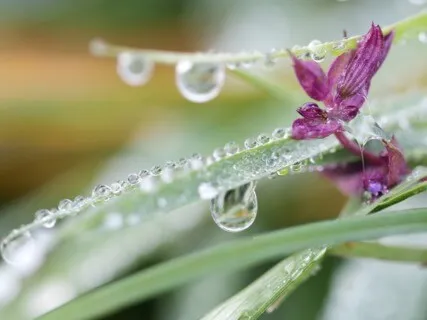 Anxiety Reduction - Music For Total Tranquility