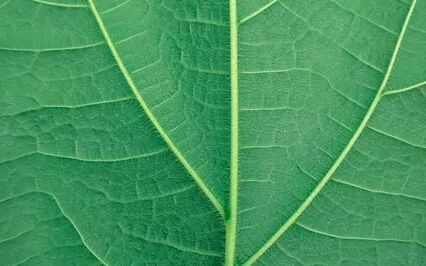 Anxiety Reduction - Music To Calm Your Anxiety