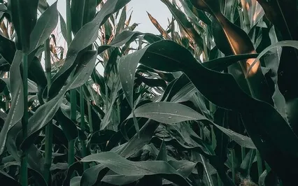 Anxiety Reduction - Music To Calm Your Feelings Of Stress