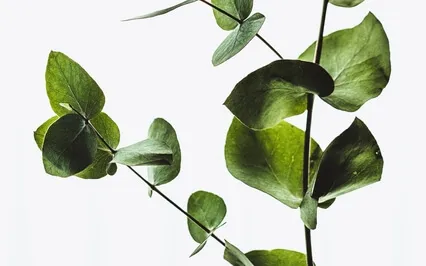 Anxiety Reduction - Music To Combat Anxiety