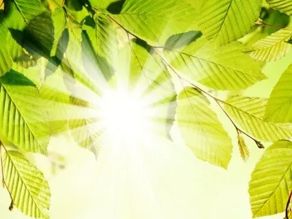 Anxiety Reduction - Music To Relax Mind Body