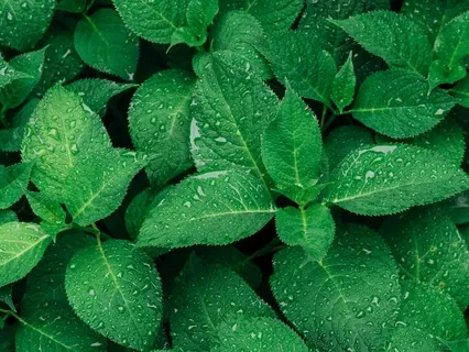 Anxiety Reduction - Nice Feeling