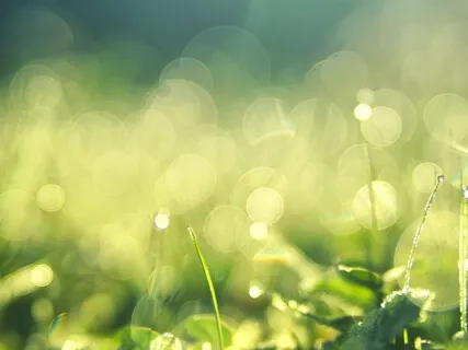 Anxiety Reduction - Overcome The Mind, Find Your Solace