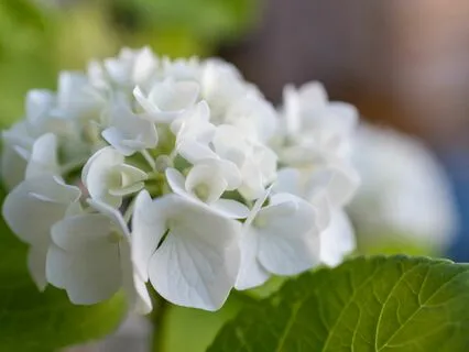 Anxiety Reduction - Overcoming Anxiety