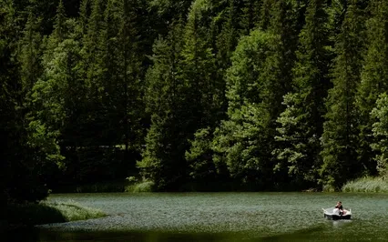 Anxiety Reduction - Overcoming Stress And Anxiety Music