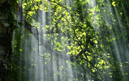 Anxiety Reduction - Positive Dreams