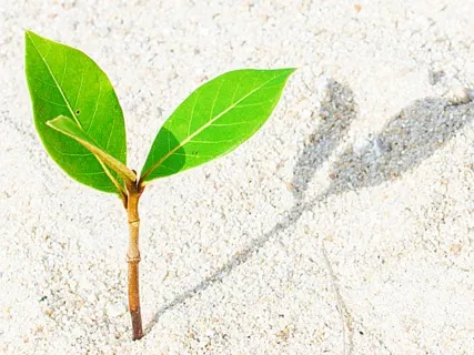 Anxiety Reduction - Pure Healing Music