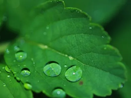 Anxiety Reduction - Radiant Heart Connections