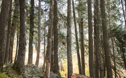 Anxiety Reduction - Recharging Your Energy