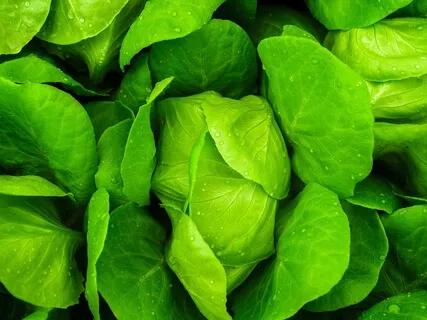 Anxiety Reduction - Reduce Anger, Calm The Mind