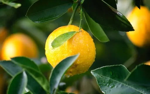 Anxiety Reduction - Reduce Your Anxiety Level