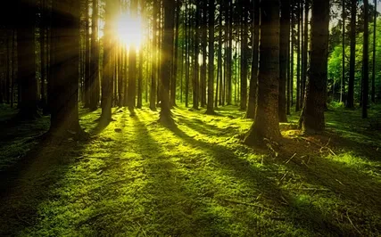 Anxiety Reduction - Reducing Your Anxiety