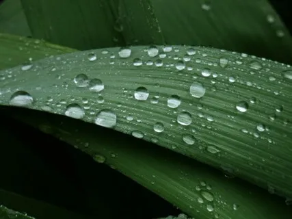 Anxiety Reduction - Relaxing Anxiety Relief Music